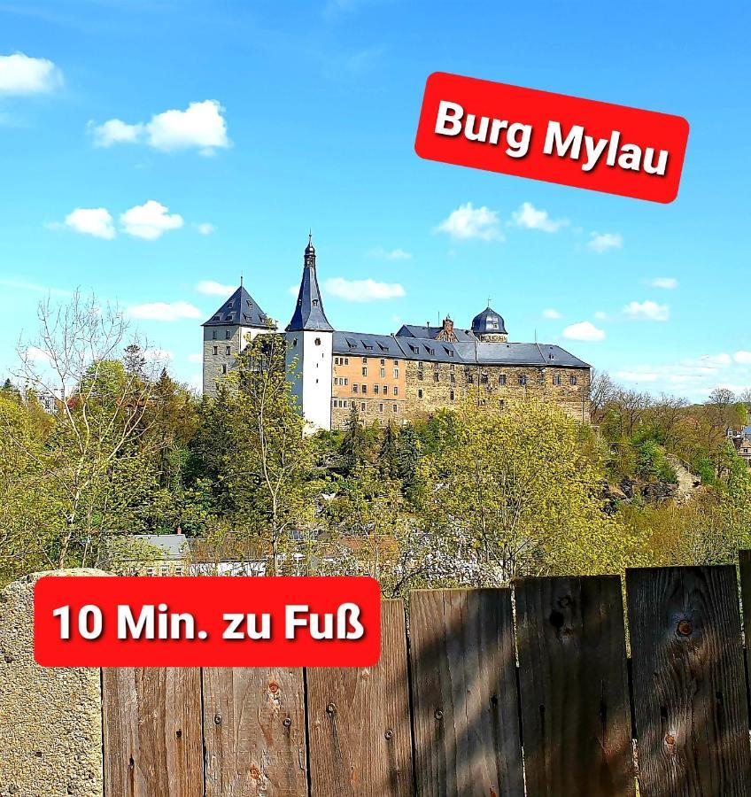 Ferienwohnung "Blick Mylau" - Naehe Freizeitpark Plohn & Weltgroesster Ziegelsteinbruecke Reichenbach im Vogtland Buitenkant foto