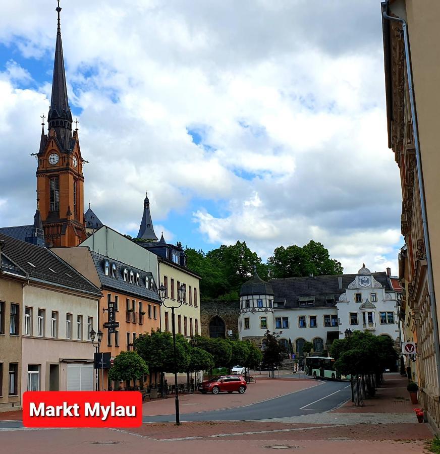 Ferienwohnung "Blick Mylau" - Naehe Freizeitpark Plohn & Weltgroesster Ziegelsteinbruecke Reichenbach im Vogtland Buitenkant foto