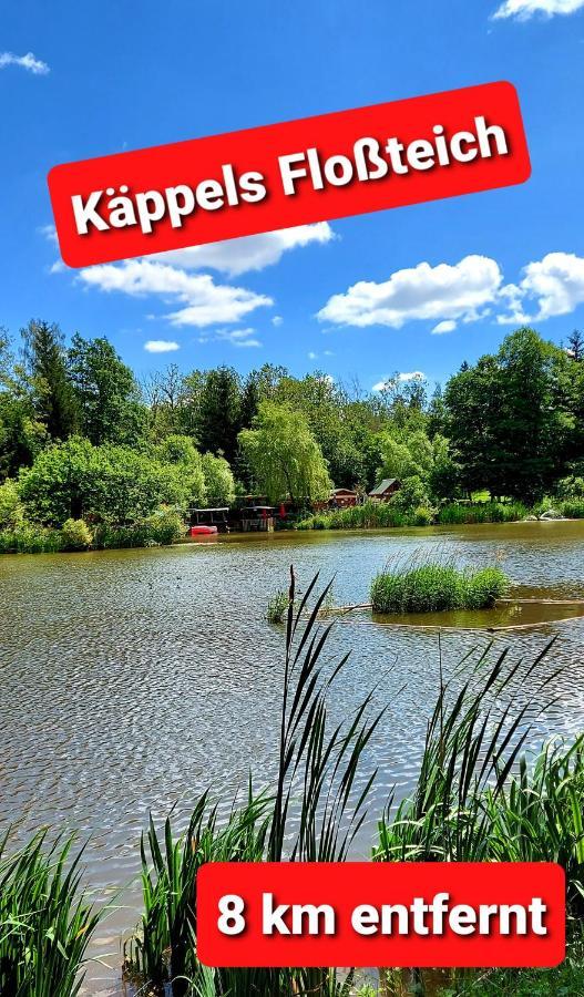 Ferienwohnung "Blick Mylau" - Naehe Freizeitpark Plohn & Weltgroesster Ziegelsteinbruecke Reichenbach im Vogtland Buitenkant foto