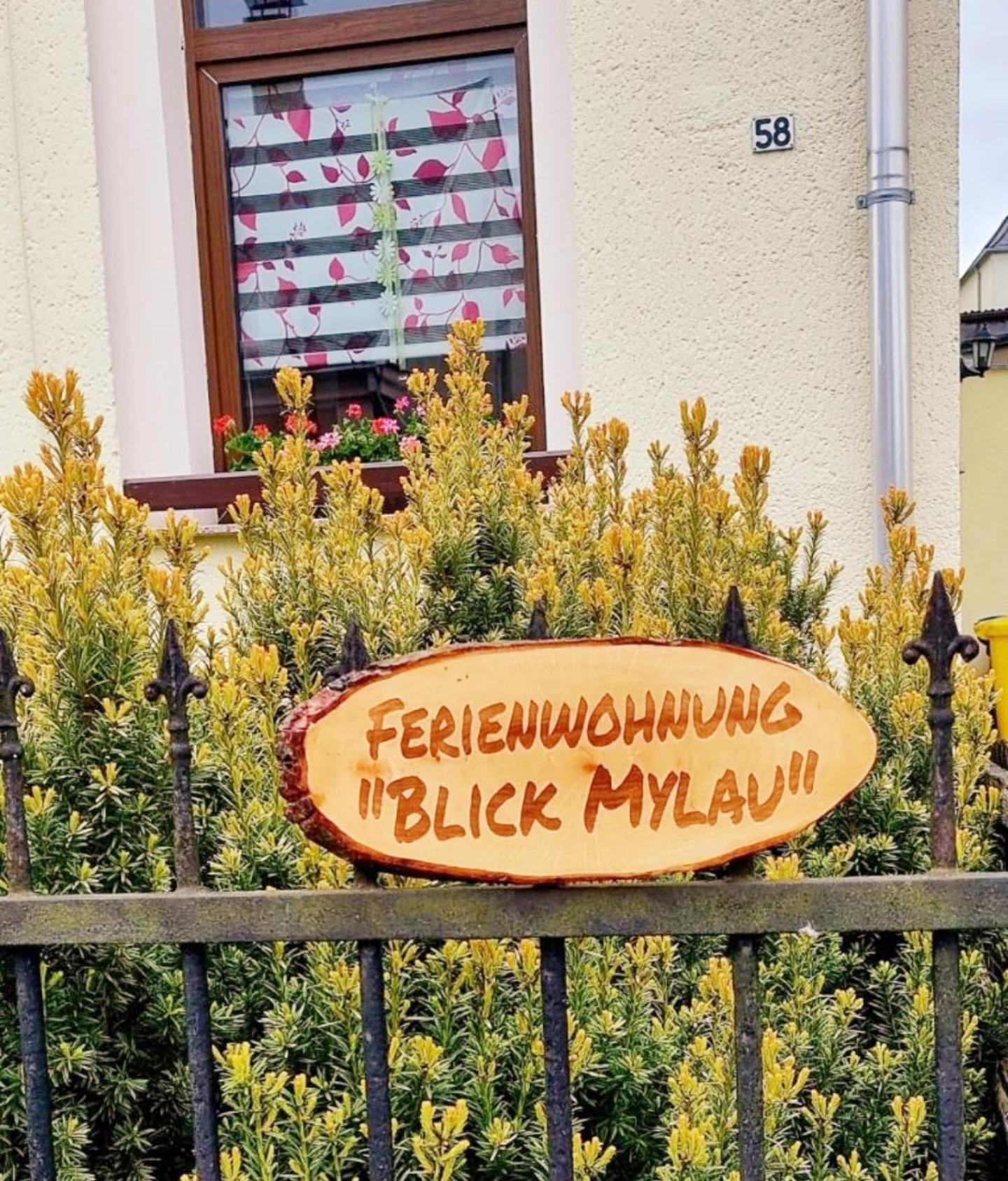 Ferienwohnung "Blick Mylau" - Naehe Freizeitpark Plohn & Weltgroesster Ziegelsteinbruecke Reichenbach im Vogtland Buitenkant foto