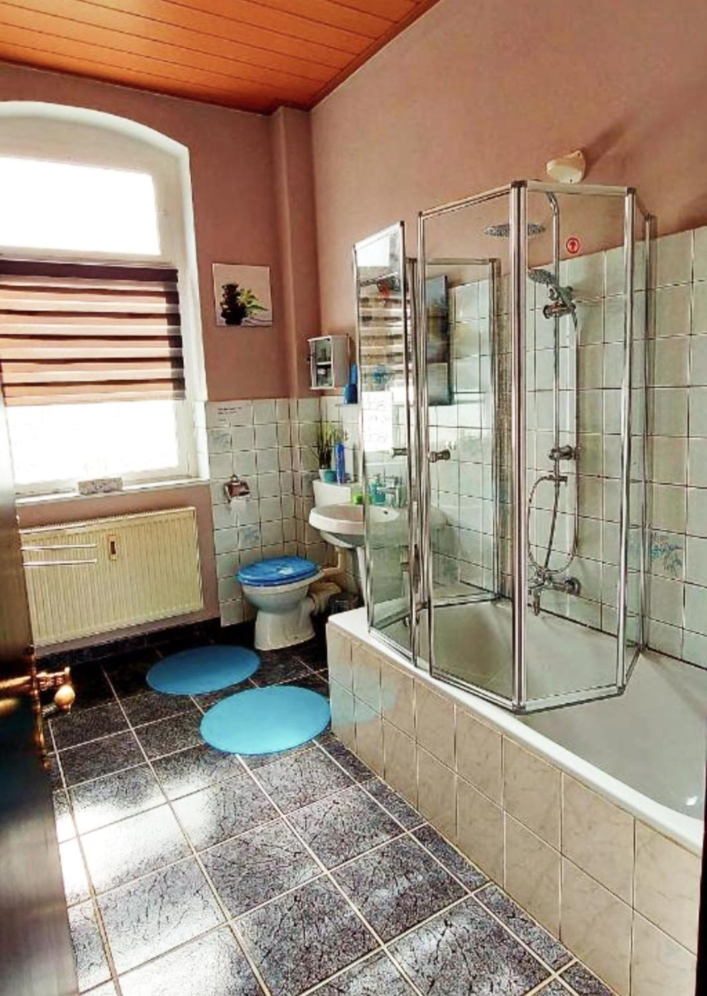 Ferienwohnung "Blick Mylau" - Naehe Freizeitpark Plohn & Weltgroesster Ziegelsteinbruecke Reichenbach im Vogtland Buitenkant foto