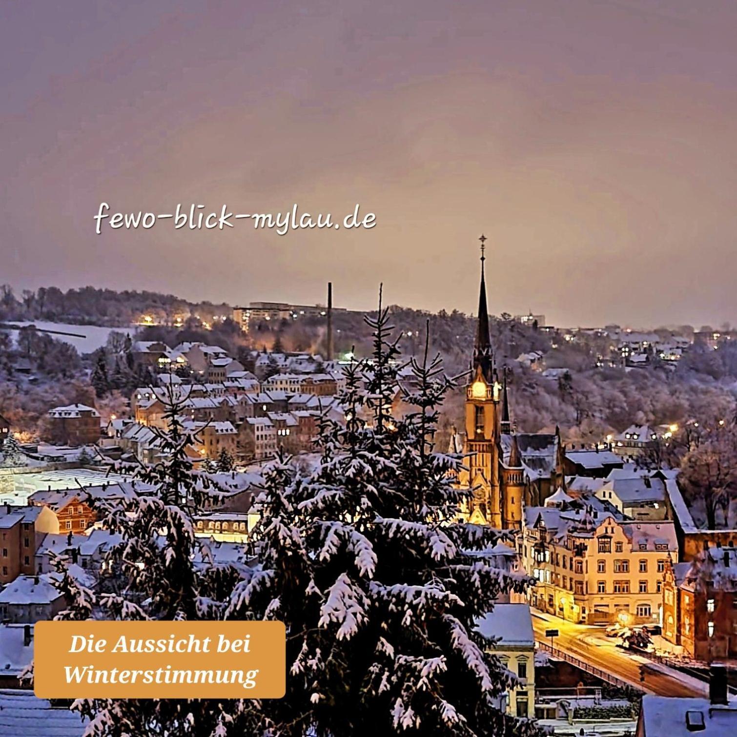 Ferienwohnung "Blick Mylau" - Naehe Freizeitpark Plohn & Weltgroesster Ziegelsteinbruecke Reichenbach im Vogtland Buitenkant foto
